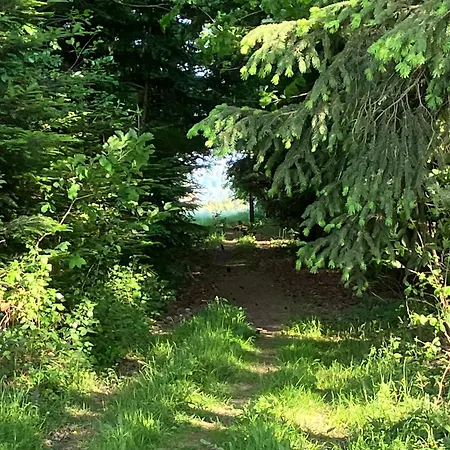 Goetz * Bad Liebenzell