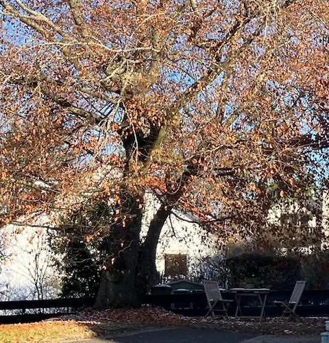 Apartment Goetz Bad Liebenzell