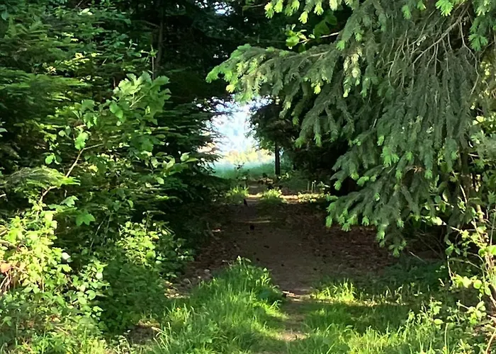 Goetz * Bad Liebenzell